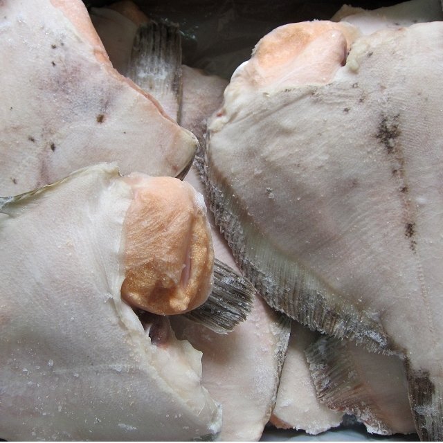 礒の高級(jí)魚「子持ちカレイ12尾位入り5kｇ」-淺羽カレイ-是非煮付けでお召し上がり下さい。