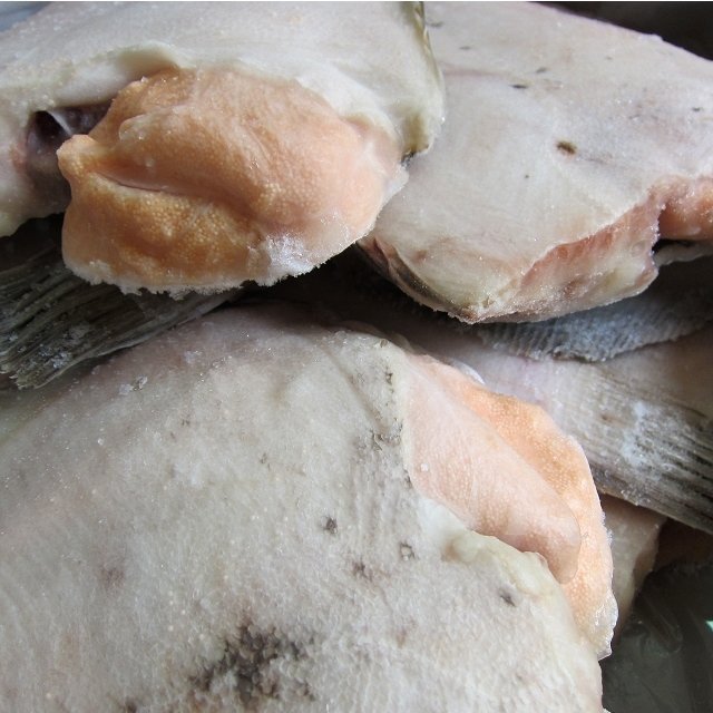 礒の高級(jí)魚「子持ちカレイ12尾位入り5kｇ」-淺羽カレイ-是非煮付けでお召し上がり下さい。