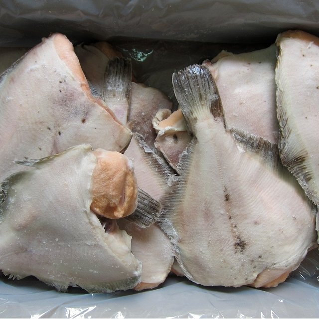 礒の高級(jí)魚「子持ちカレイ12尾位入り5kｇ」-淺羽カレイ-是非煮付けでお召し上がり下さい。