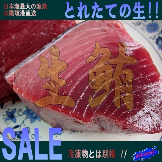 生まぐろ「背下3-5kg」背トロたっぷり、天然物（不定貫につき差額発生します。)
