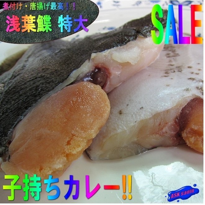 礒の高級(jí)魚「子持ちカレイ12尾位入り5kｇ」-淺羽カレイ-是非煮付けでお召し上がり下さい。