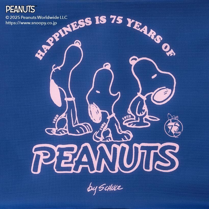 ESSE　特裝版　PEANUTS　コミック誕生７５周年　スヌーピー　トラベルポーチ２點(diǎn)セット
