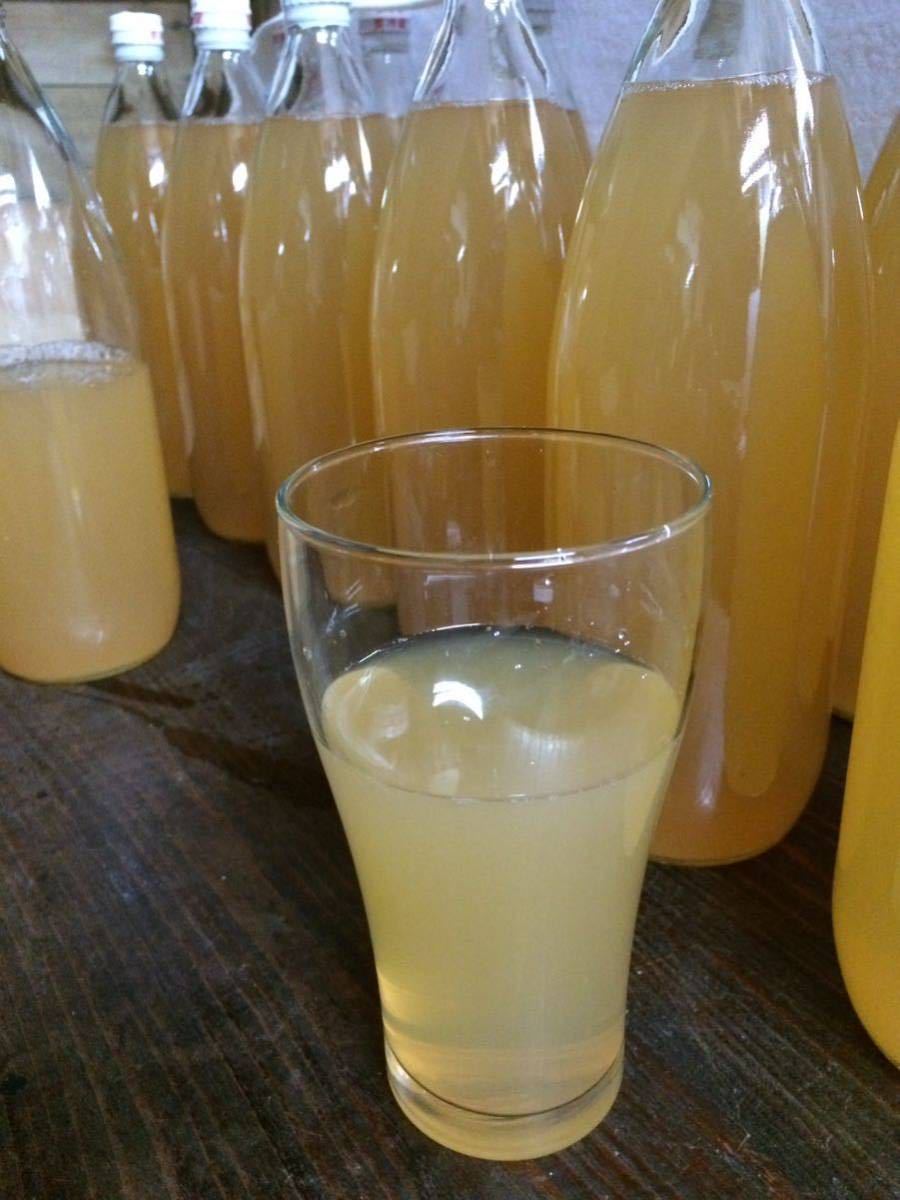 ★青森弘前農(nóng)家直送★大人気★特別４種★12本入り★特別デザートジュース★