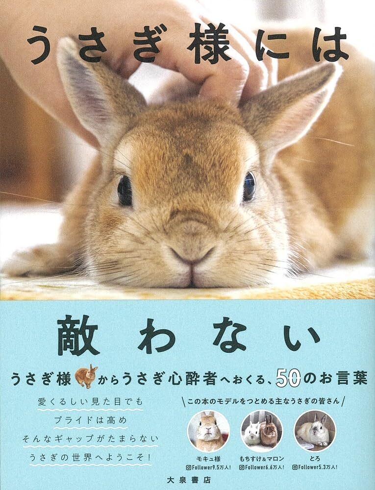 うさぎ様には敵わない_画像1