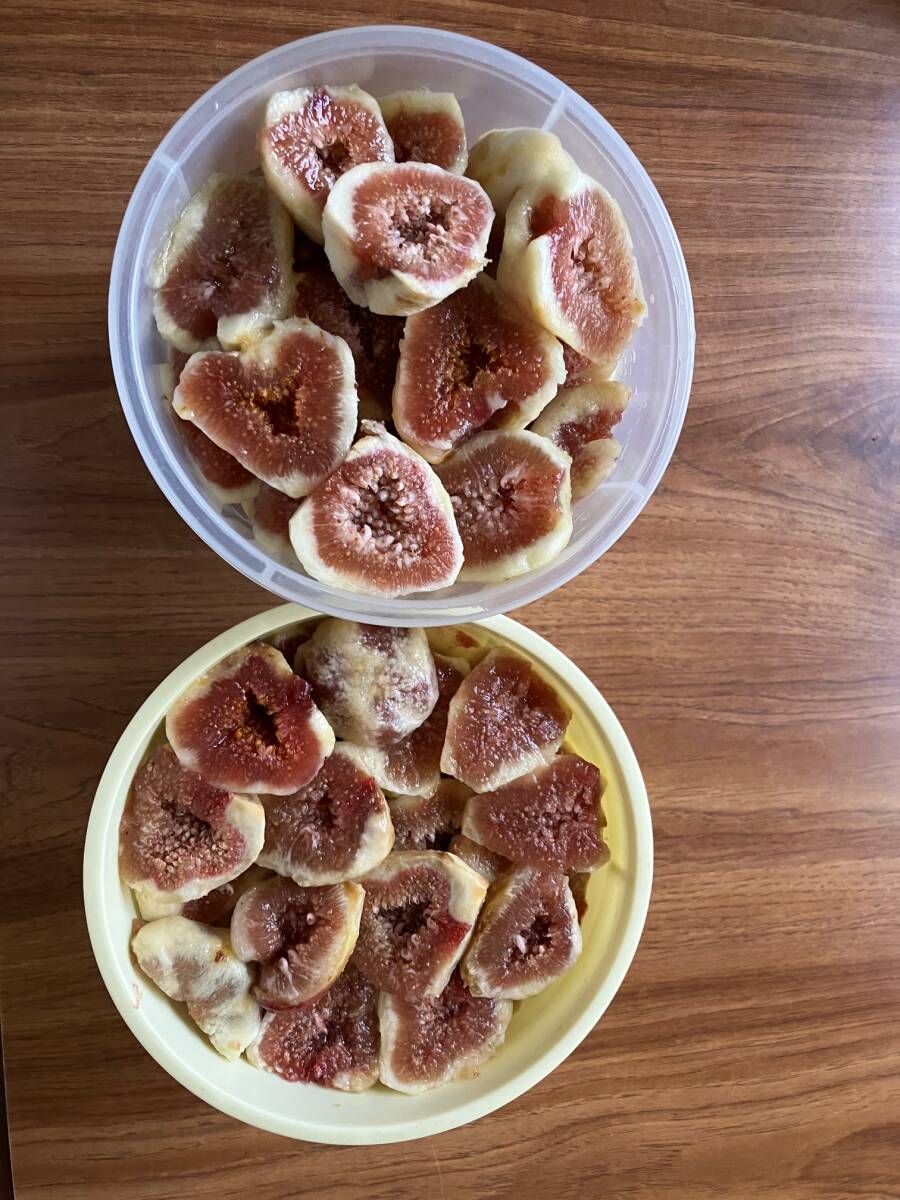 冷凍無花果*イチジク １kg*露地 いちじく*無農(nóng)薬.有機(jī)栽培*完熟*自家産*加工用