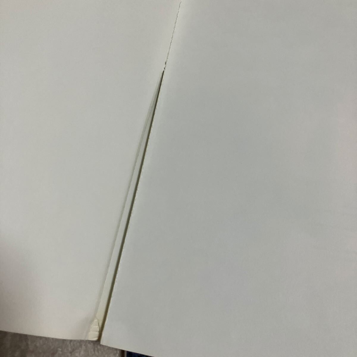 【2冊(cè)セット】酒井若菜 寫真集 グラビア 水著 素肌 do -dai?