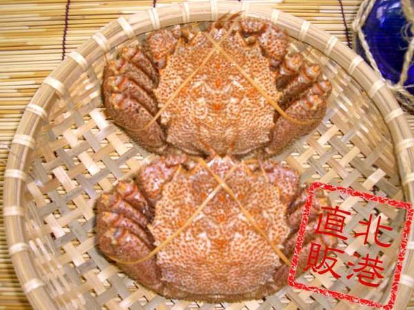 1円～〔かに味噌が病みつきに〕北海道産冷凍ボイル毛ガニ2尾（570ｇ前后）〔K〕北港直販☆毛蟹?毛がに☆
