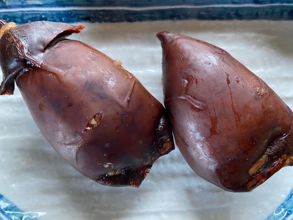 國産いかめし2尾〔E〕北港直販?烏賊?イカ