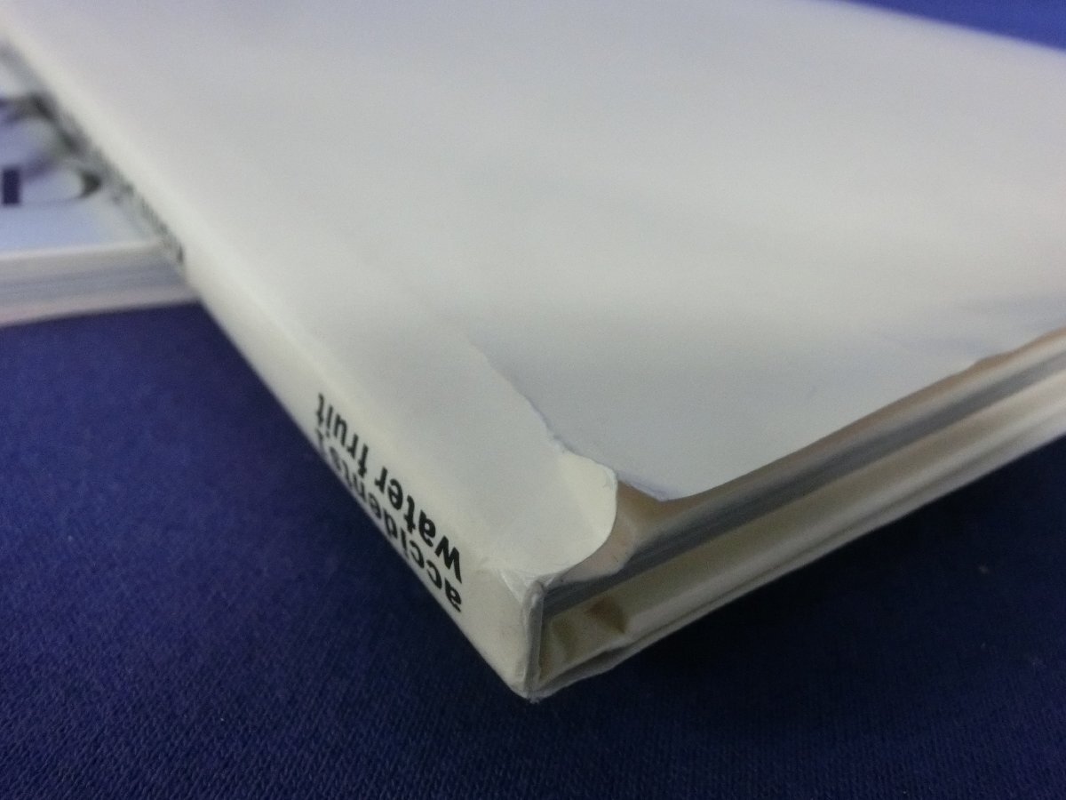 ★４９―０２３★寫真集　宮沢りえ Santa fe/永遠(yuǎn)のオードリー?ヘップバーン/篠山紀(jì)信 樋口可南子 water fruit accidents 1/女優(yōu)[80]