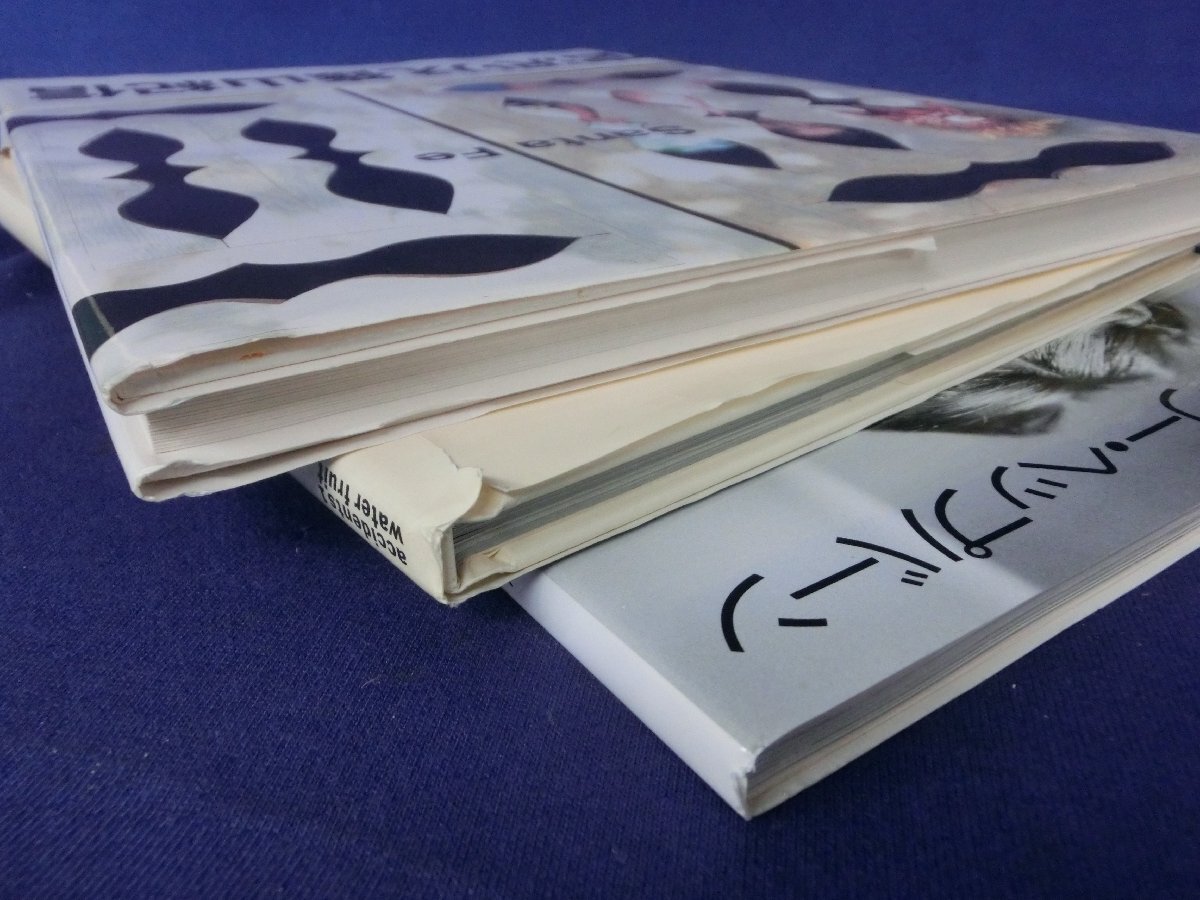 ★４９―０２３★寫真集　宮沢りえ Santa fe/永遠(yuǎn)のオードリー?ヘップバーン/篠山紀(jì)信 樋口可南子 water fruit accidents 1/女優(yōu)[80]