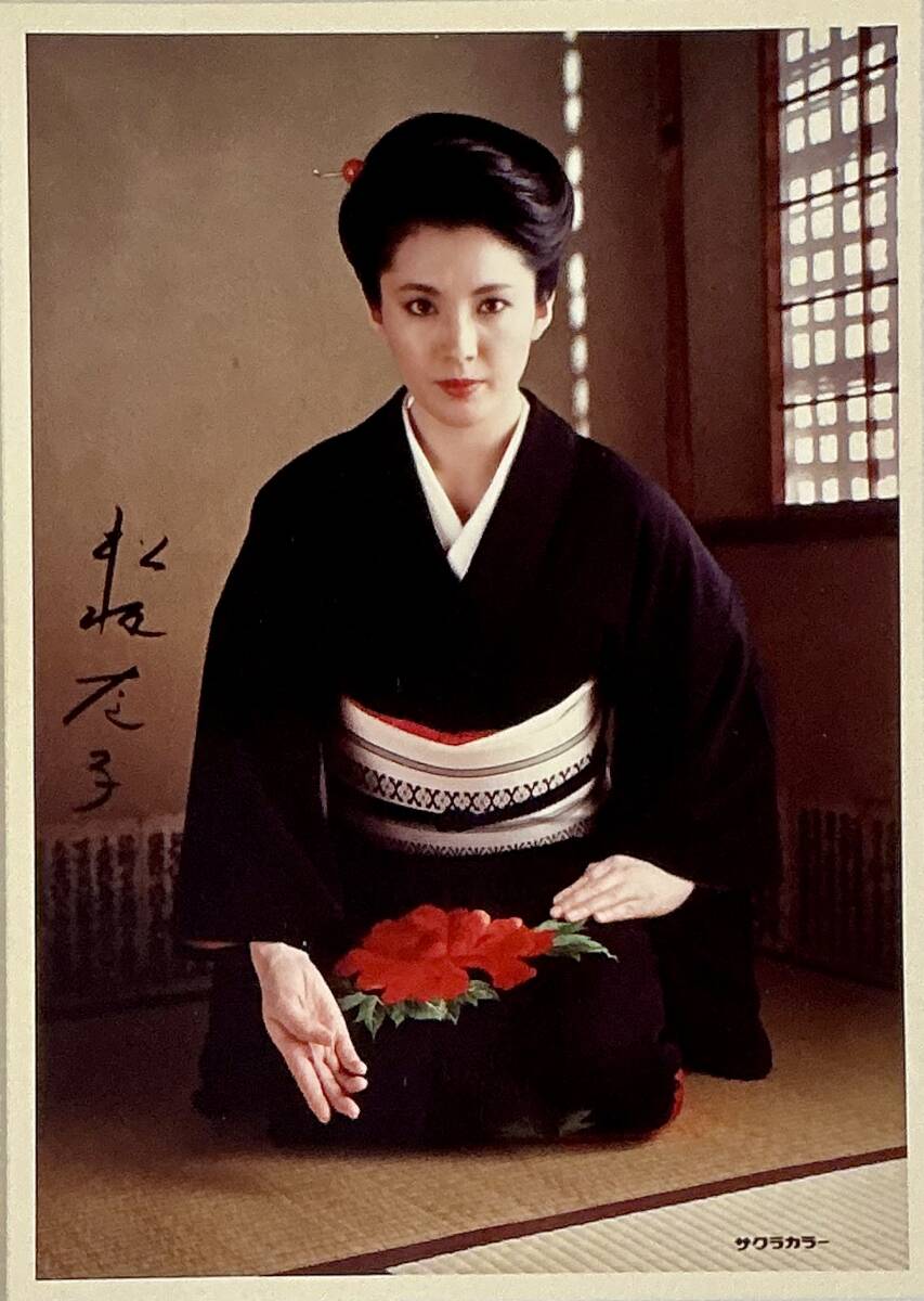 ☆ 松坂慶子 寫真集 週刊プレイボーイ特別編集 生寫真付 巨乳 美女 セクシー 美尻 グラマー スレンダー 美腳 送料230