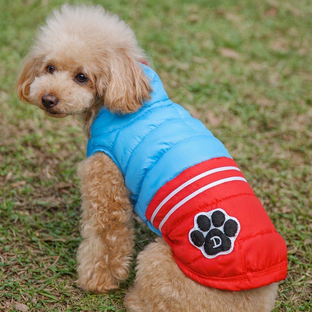 小型犬用 犬服 あったかアウトドアパーカー 脱着可能パーカ SS レッドxブルー 送料250円 冬_画像4