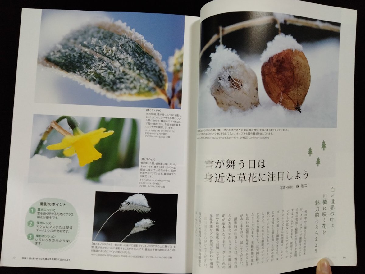 ｖ●　寫真ライフ　2012年冬號　No.87　雪?霜?氷で心も踴る冬を撮りに出かけよう　日本寫真企畫　古書/F04