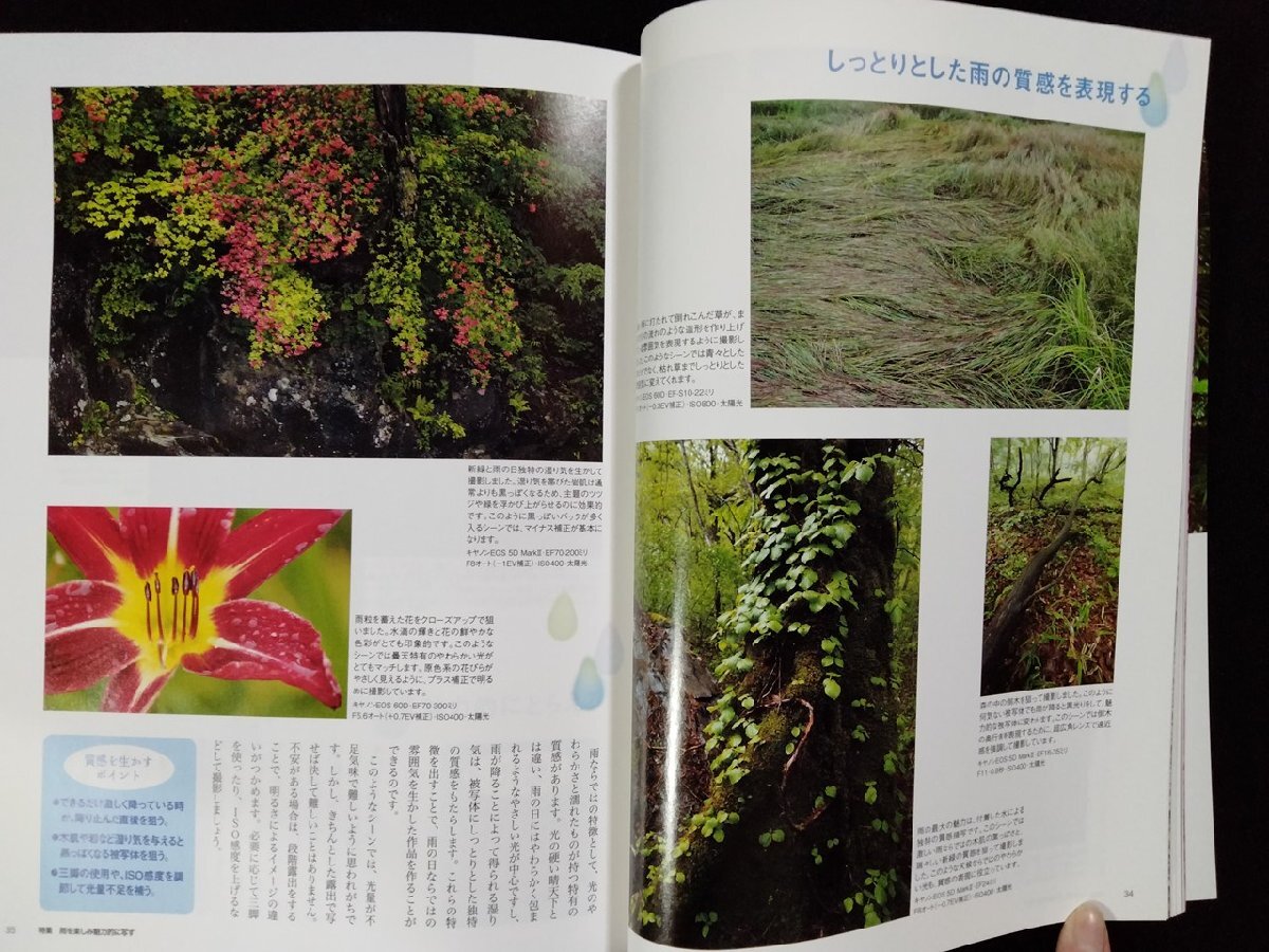 ｖ●　寫真ライフ　2011年春號　No.84　楽しく始めよう 花寫真　日本寫真企畫　古書/F04