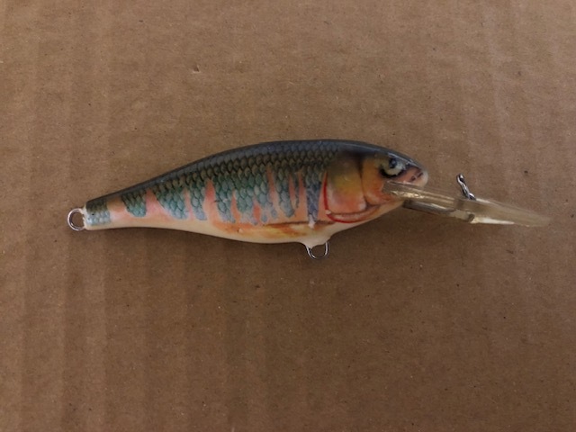 ラパラ　シャッドラップ　SR7　オイカワ_画像5