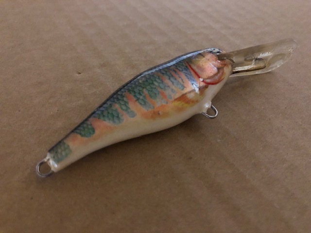 ラパラ　シャッドラップ　SR7　オイカワ_画像4