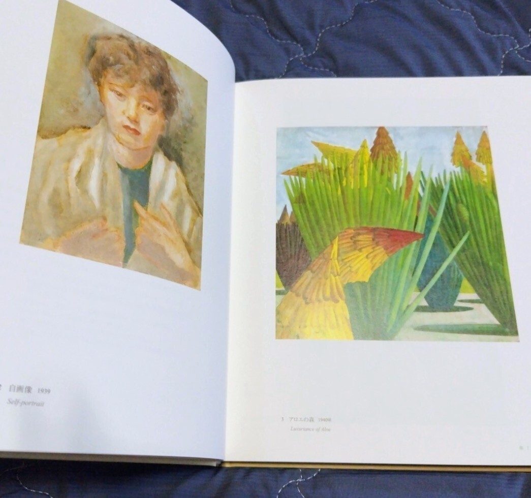 画集 図録◆堀文子展 2017年 神奈川県立近代美術館/日本画 花鳥画 創画会/神奈川文化賞 上村松園賞/女子美術大学 多摩美術大学/sskw1_画像9