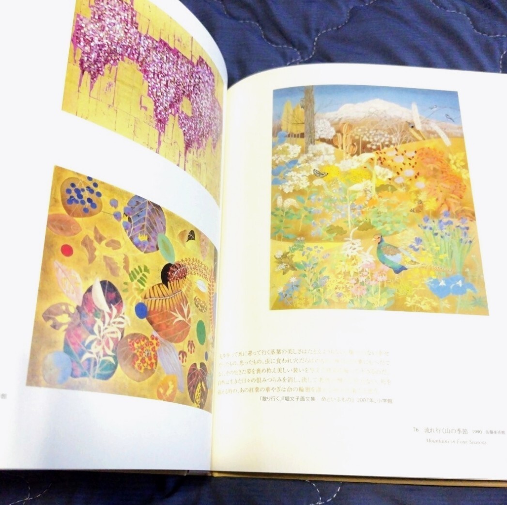 画集 図録◆堀文子展 2017年 神奈川県立近代美術館/日本画 花鳥画 創画会/神奈川文化賞 上村松園賞/女子美術大学 多摩美術大学/sskw1_画像2