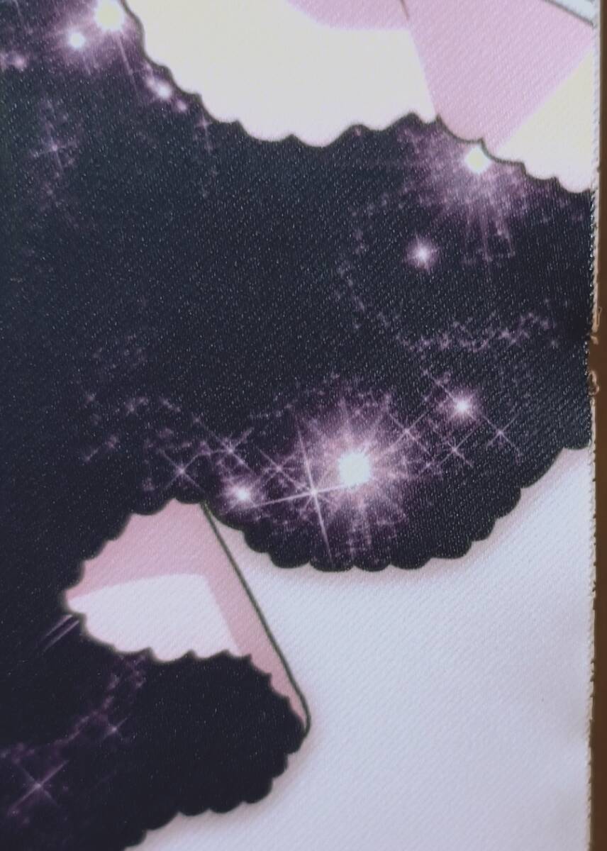 魔法少女まどか☆マギカ10(展) 鹿目まどか&暁美ほむら 蒼樹うめイラスト ビッグタペストリーB サイズ:約W51.5cm×H72.8cm_画像4