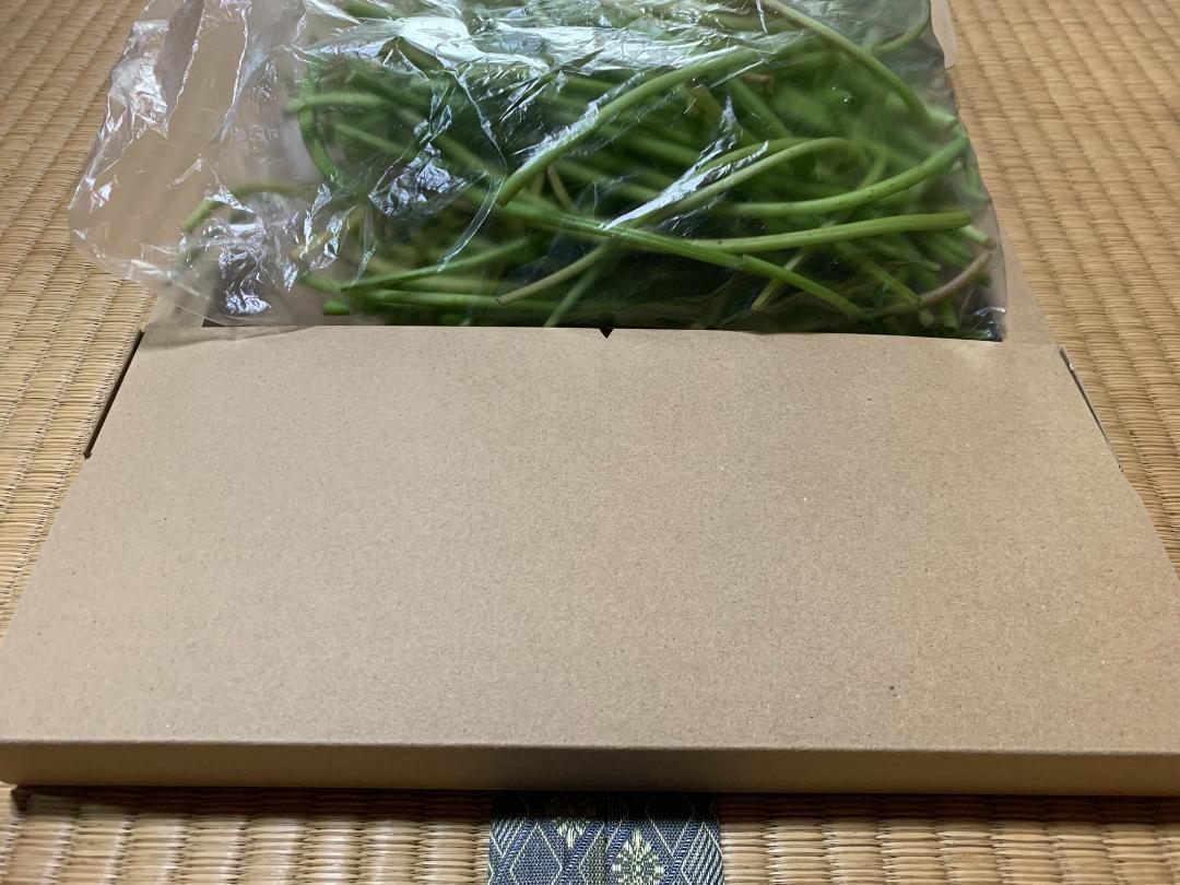 さつまいもの莖　サツマイモの莖　新鮮採(cǎi)れたて　農(nóng)家直送　ネコポス　500g　購(gòu)入后に収穫発送