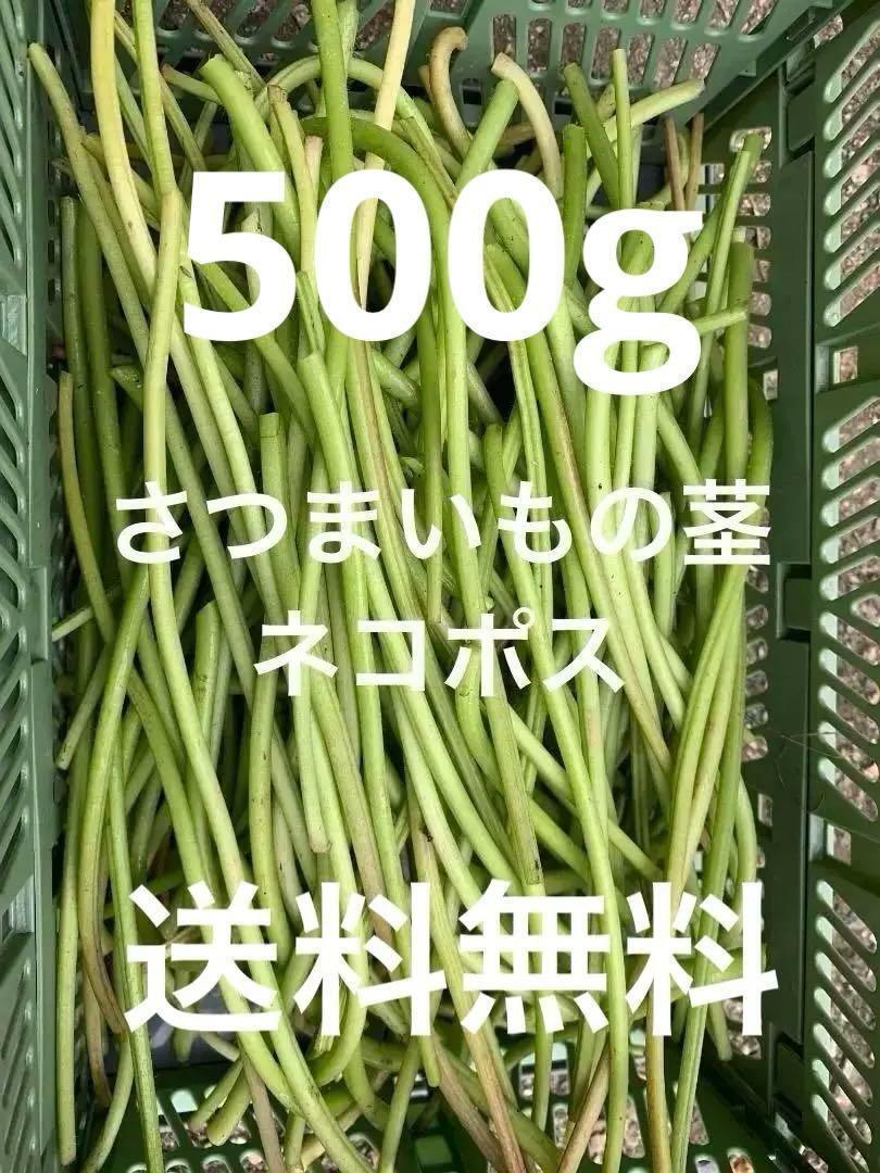さつまいもの莖　サツマイモの莖　新鮮採(cǎi)れたて　農(nóng)家直送　ネコポス　500g　購(gòu)入后に収穫発送