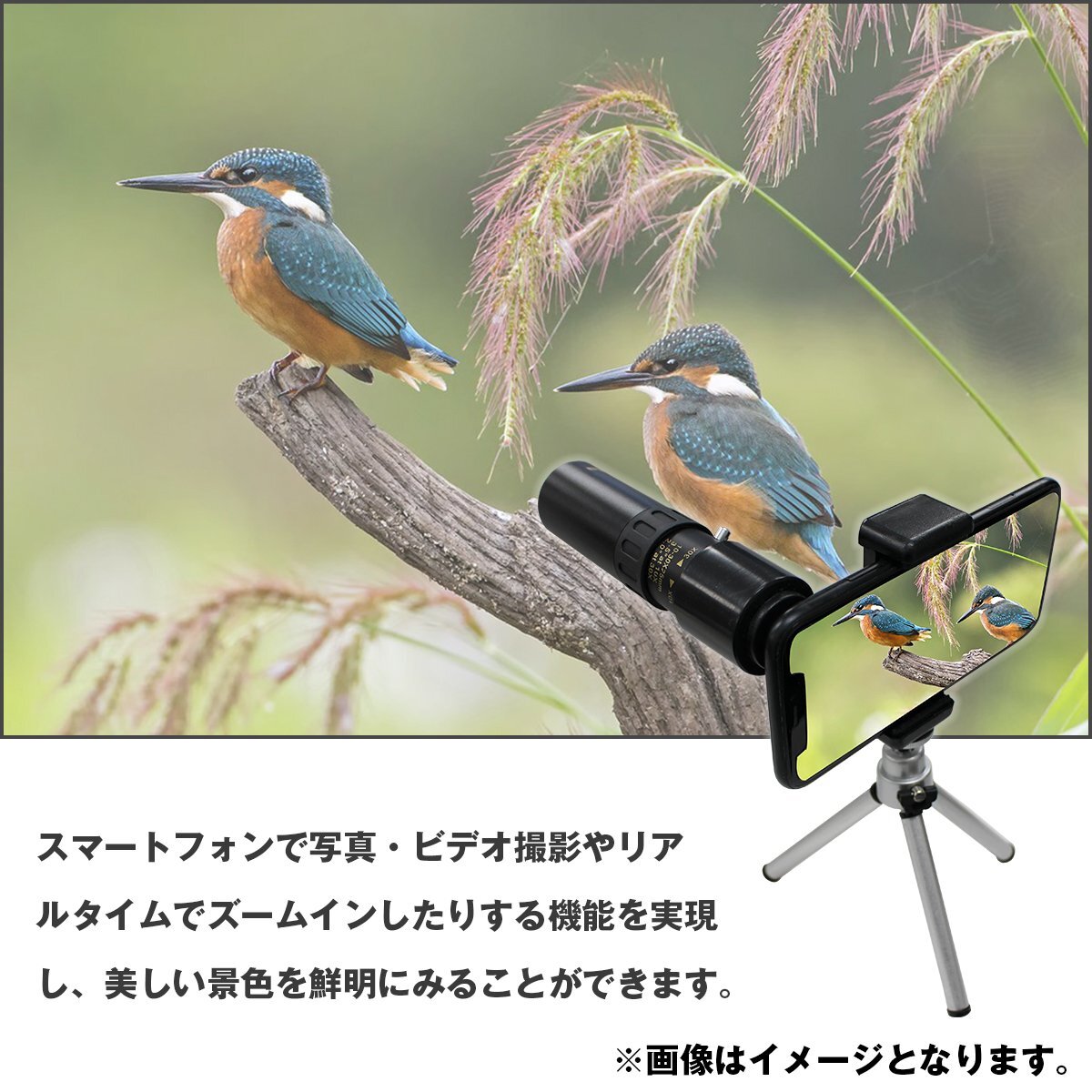 【送料無料】単眼鏡 ズーム望遠鏡 コンパクト 10-30倍 三腳 スマホホルダー付き アウトドア コンサート
