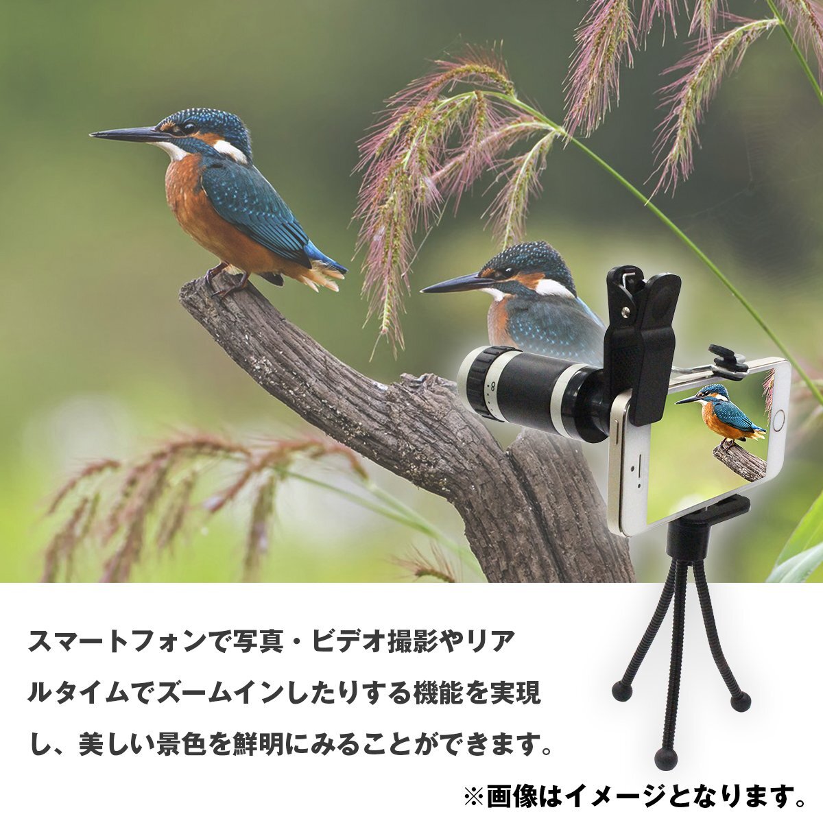 【送料無料】ズーム望遠鏡 スマホ用 単眼鏡 コンパクト 8×18 三腳付き ポケットスコープ アウトドア