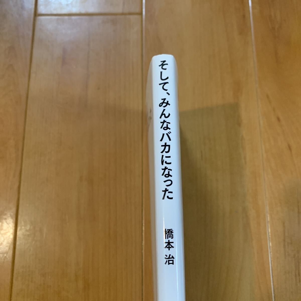 そして、みんなバカになった 橋本治/著_画像6