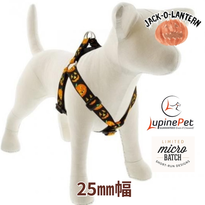 ステップインハーネス?XLサイズ　25mm幅　ジャックオーランタン柄　60-96cm　LUPINEルパイン アメリカ制　軽量　丈夫 大型犬