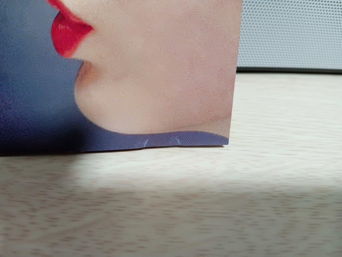 ☆SNAKES IN PARADISE☆SAME【国内盤帯付】スネイクスインパラダイス 必聴盤 メロハー CD_画像5