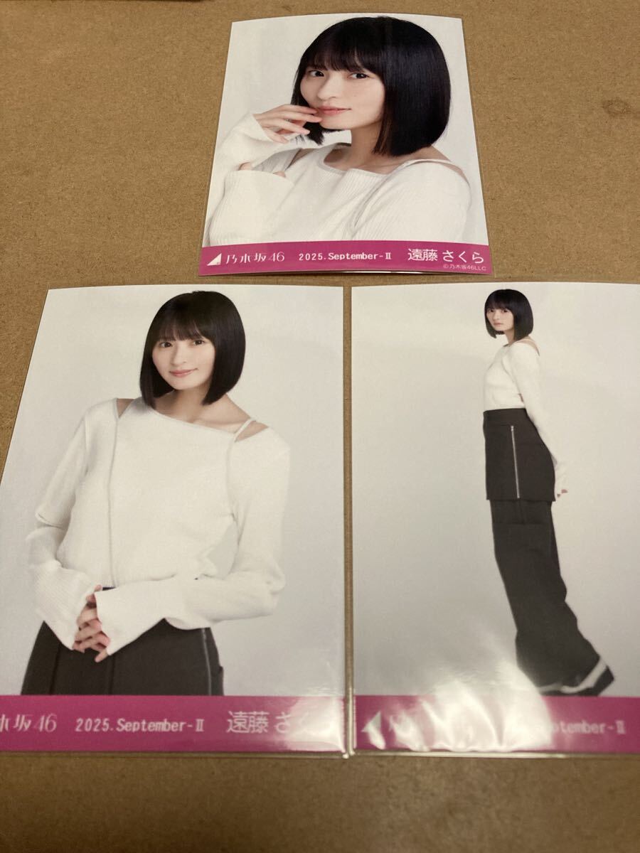 乃木坂46 会場限定ランダム生写真 肩あきトップス 3種コンプ 遠藤さくら 2025.September-Ⅱ_画像1