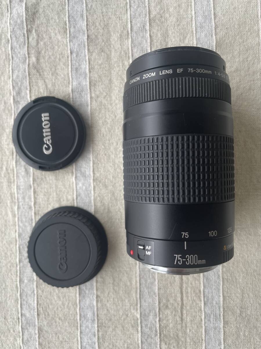 キャノン　ズームレンズ ７５－３００ｍｍ　難あり