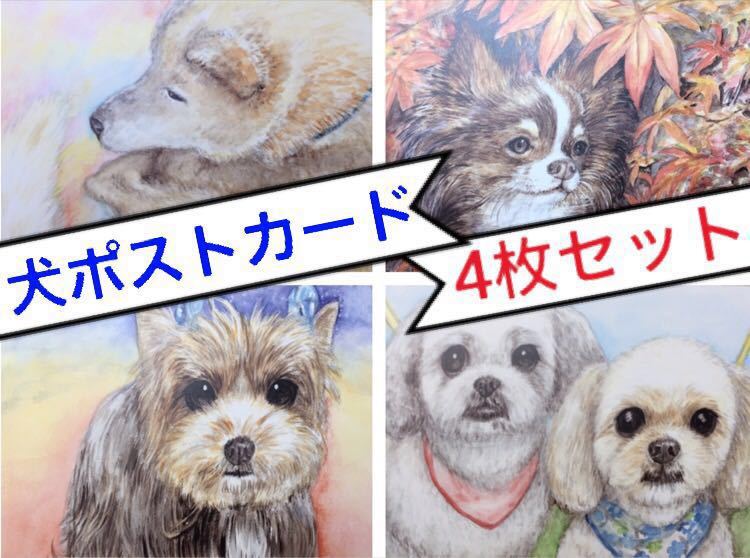  hand-drawn illustrations postcard dog 4 pieces set . made . maru cheese yoke car - terrier chihuahua . dog watercolor [......]