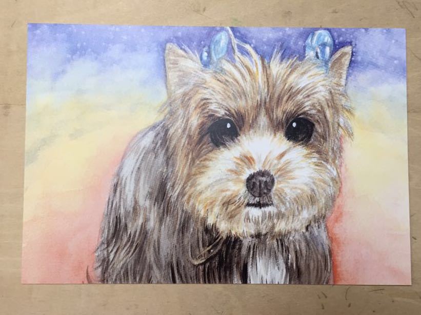  hand-drawn illustrations postcard dog 4 pieces set . made . maru cheese yoke car - terrier chihuahua . dog watercolor [......]