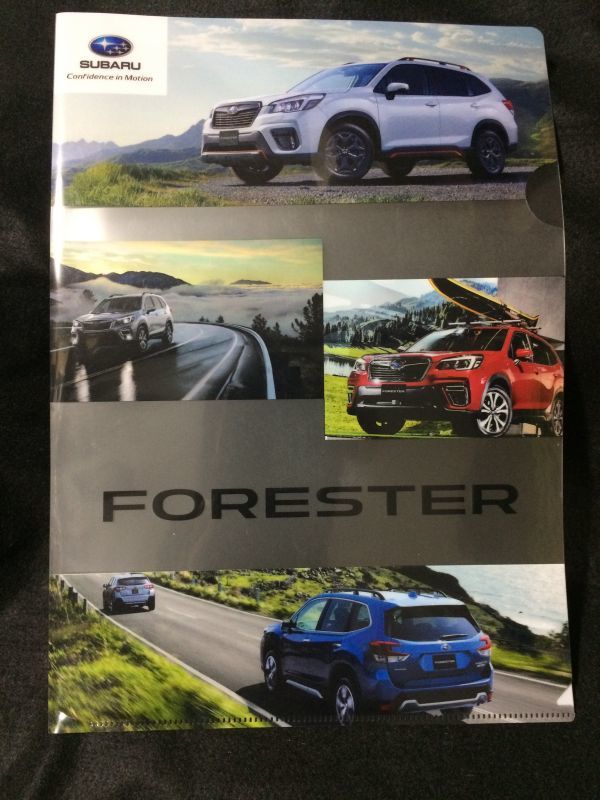  прозрачный файл Subaru Forester Forester