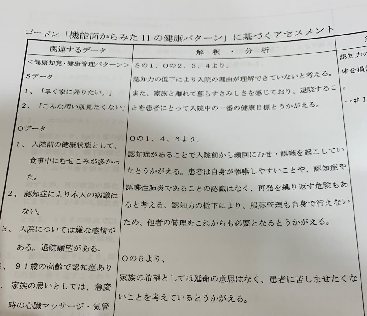 看護計画　★ ゴードン　看護過程　セット　(^^)