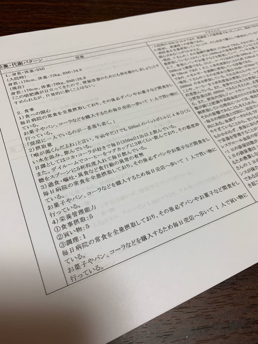 看護計画　★ ゴードン　看護過程　セット　(^^)