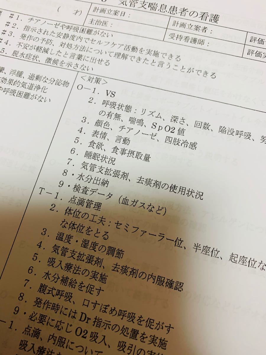 看護計画　★ ゴードン　看護過程　セット　(^^)