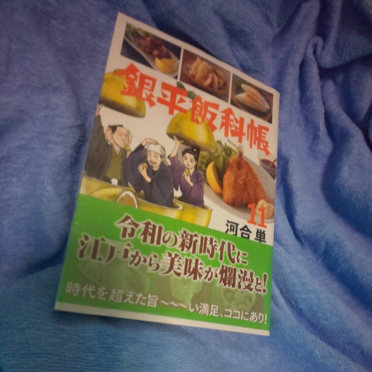 Paypayフリマ 銀平飯科帳11巻 河合単 Paypayフリマ 銀平飯科帳11巻 河合単