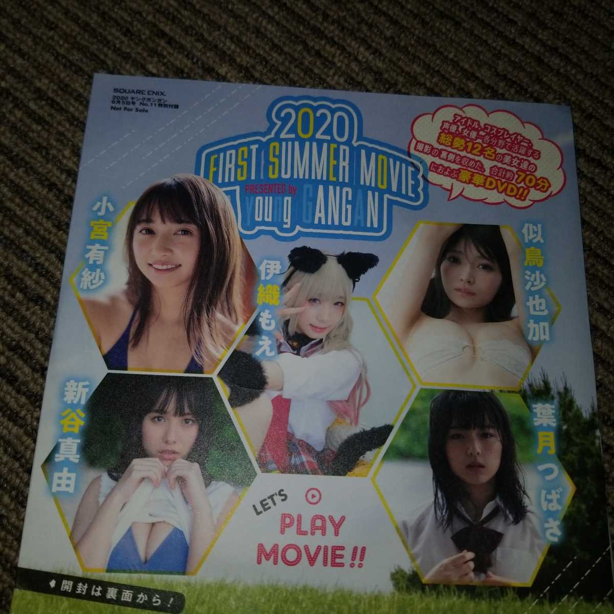 ヤングガンガン　付録DVD