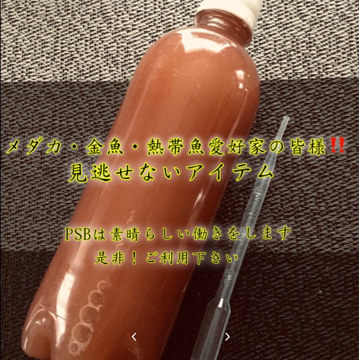 Paypayフリマ 自家製濃縮タイプ Psb 水質浄化栄養細菌 バクテリア生菌 500ml Paypayフリマ 自家製濃縮タイプ Psb 水質浄化栄養細菌 バクテリア生菌 500ml