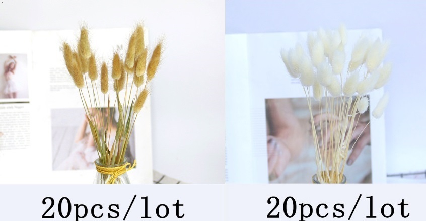 カラフルなインパンパス草 人工観葉植物 観葉植物 観葉 植物 おしゃれ 雑貨 造花 誕生日 ギフト 贈り物 【色：19色】_左：177-Primary　右：177-White