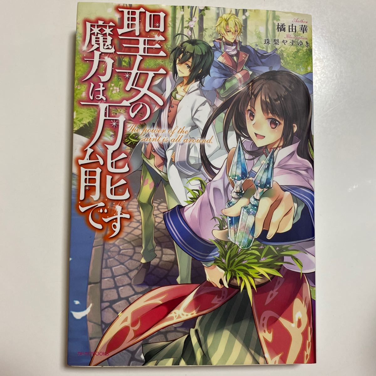 聖女の魔力は万能です １ （カドカワＢＯＯＫＳ）