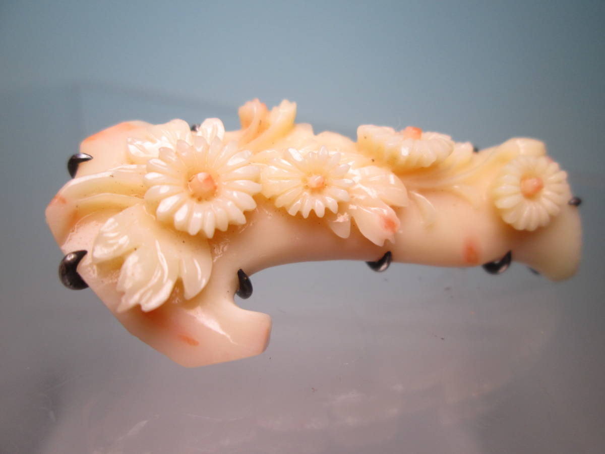 【江月】アンティーク・銀製 本珊瑚 菊花彫刻 ツーカラーの帯留め 16g_画像5