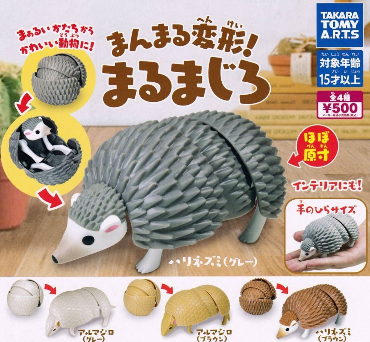 あるまじろの値段と価格推移は 10件の売買情報を集計したあるまじろの価格や価値の推移データを公開 あるまじろの値段と価格推移は 10件の売買情報を集計したあるまじろの価格や価値の推移データを公開