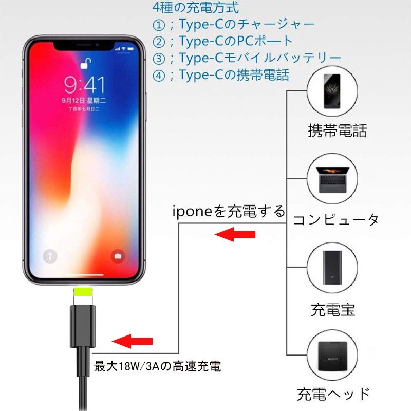 USB C / Type c to Lightning ケーブル 　ブラック