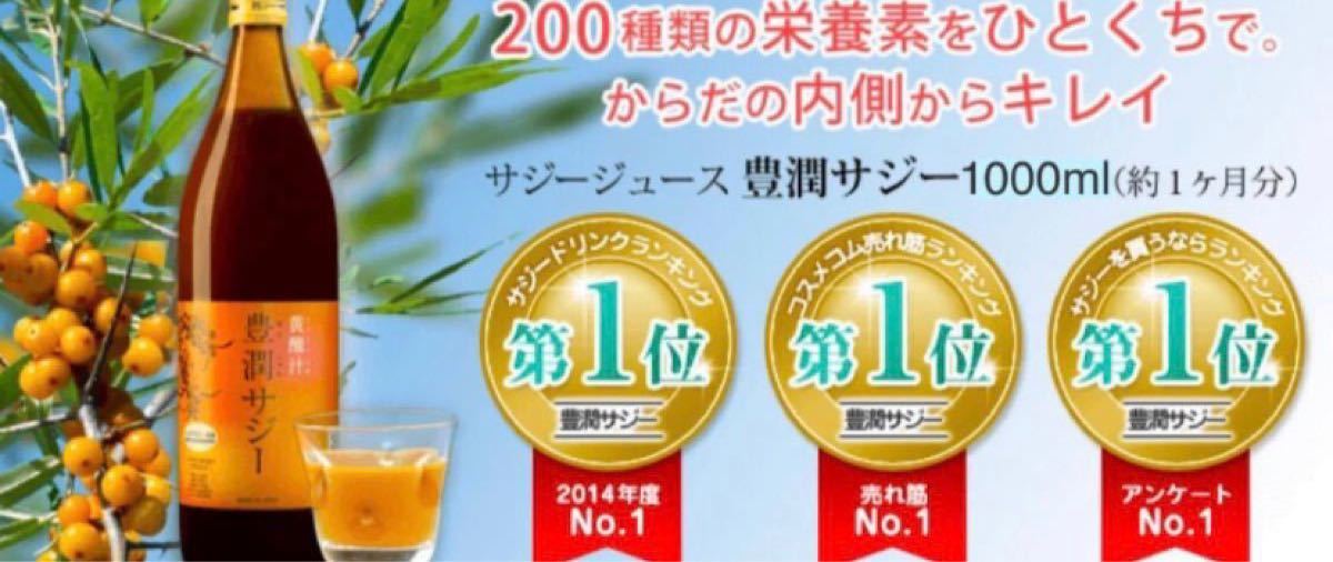 人気絶頂 新品未開封 フィネス 豊潤サジー 5本 - 健康用品 - www 正規取扱店販売品 豊潤サジー 新品未開封 フィネス 健康用品