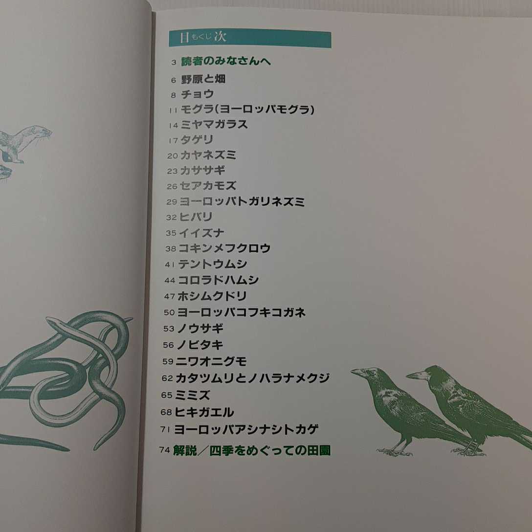 zaa-391♪動物のくらし〈6〉田園の動物―ビジュアル・ブック (1985年) 藤野 邦夫 (翻訳) －ぎょうせい 古書, 1985/2/1_画像4