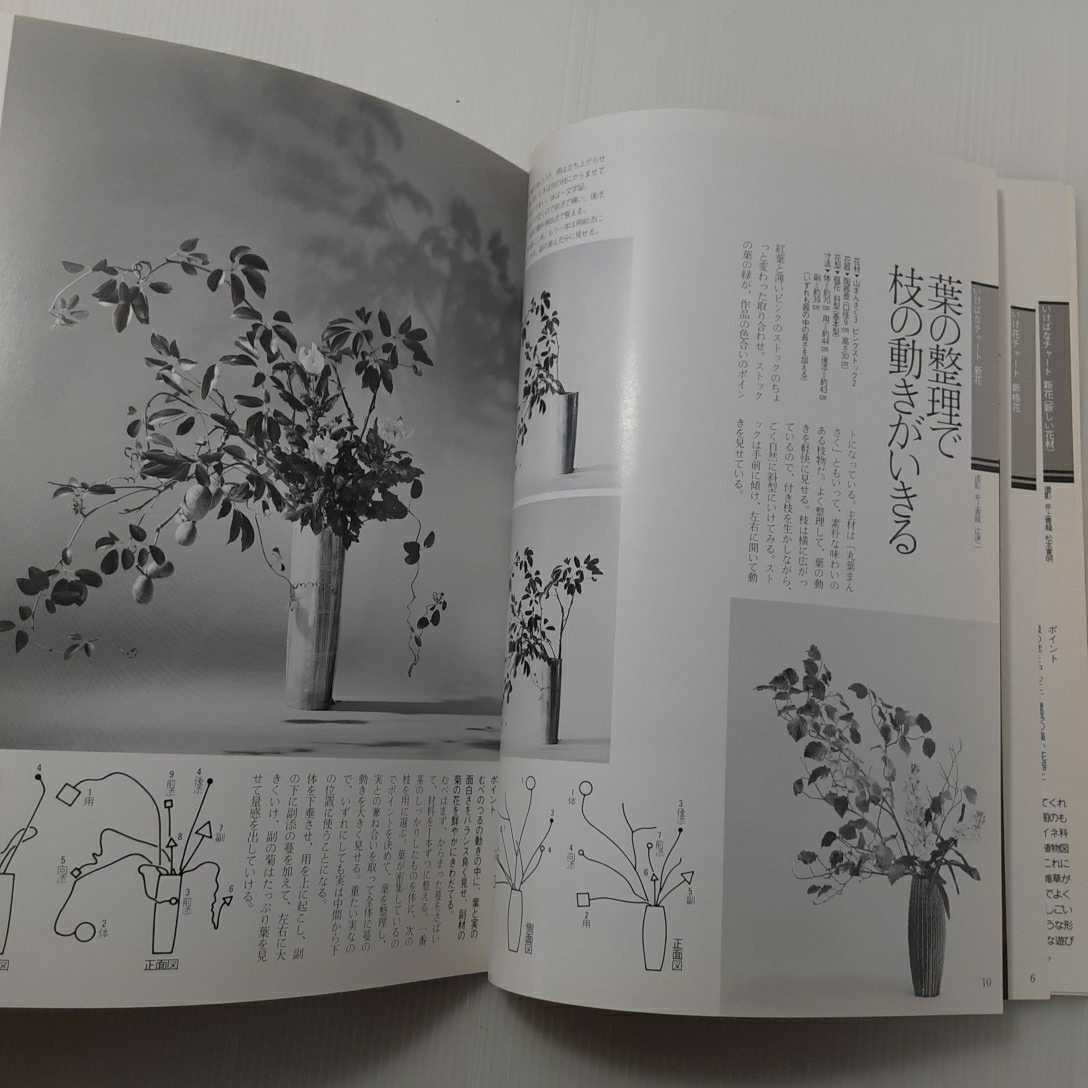 ヤフオク Zaa 061 素材の明るさ 色の違いでボリュームを表 ヤフオク Zaa 061 素材の明るさ 色の違いでボリュームを表