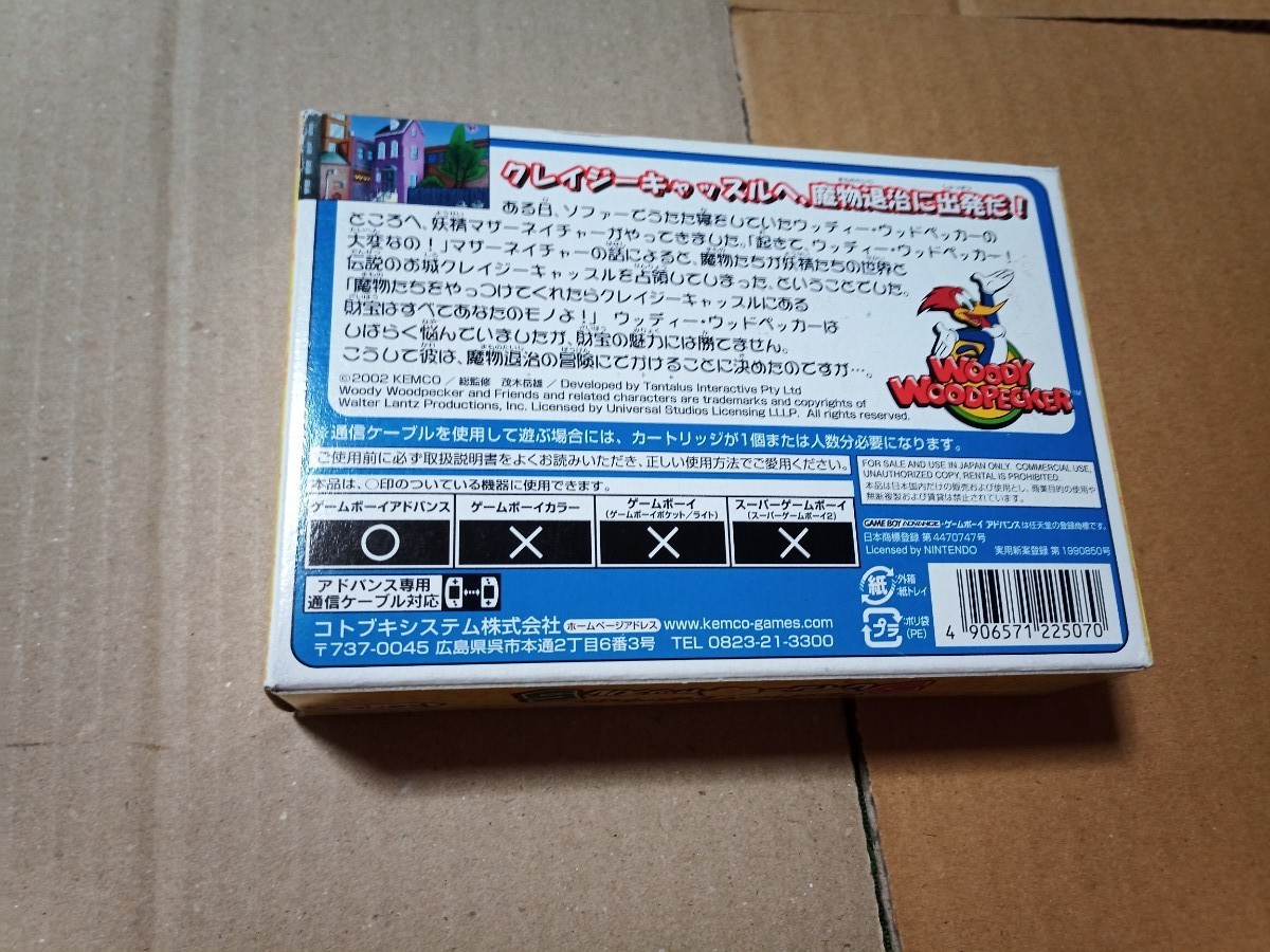 ウッディウッドペッカー クレイジーキャッスル5
